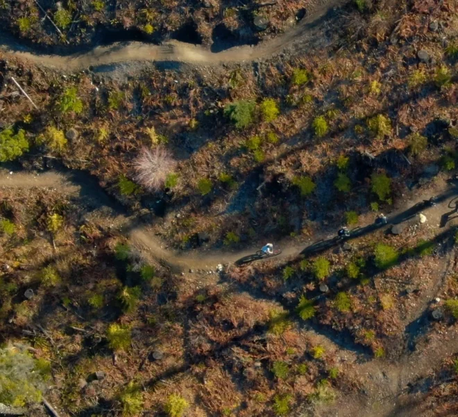 drone-shot
