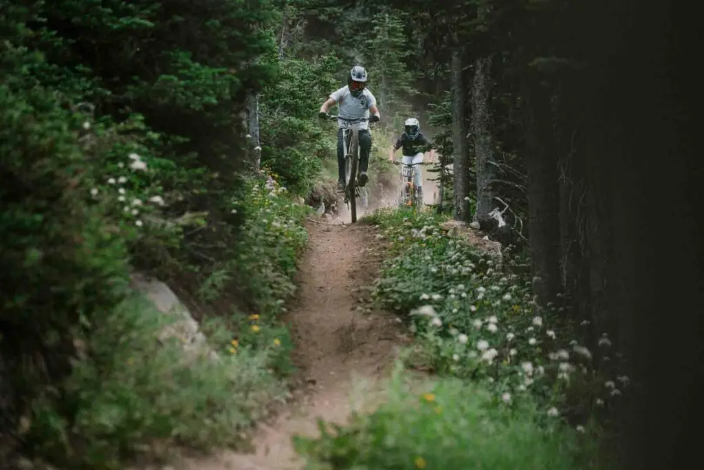 Two mountain bikers ride along a forest trail, one in mid-air performing a jump. The trail is surrounded by greenery and wildflowers.
